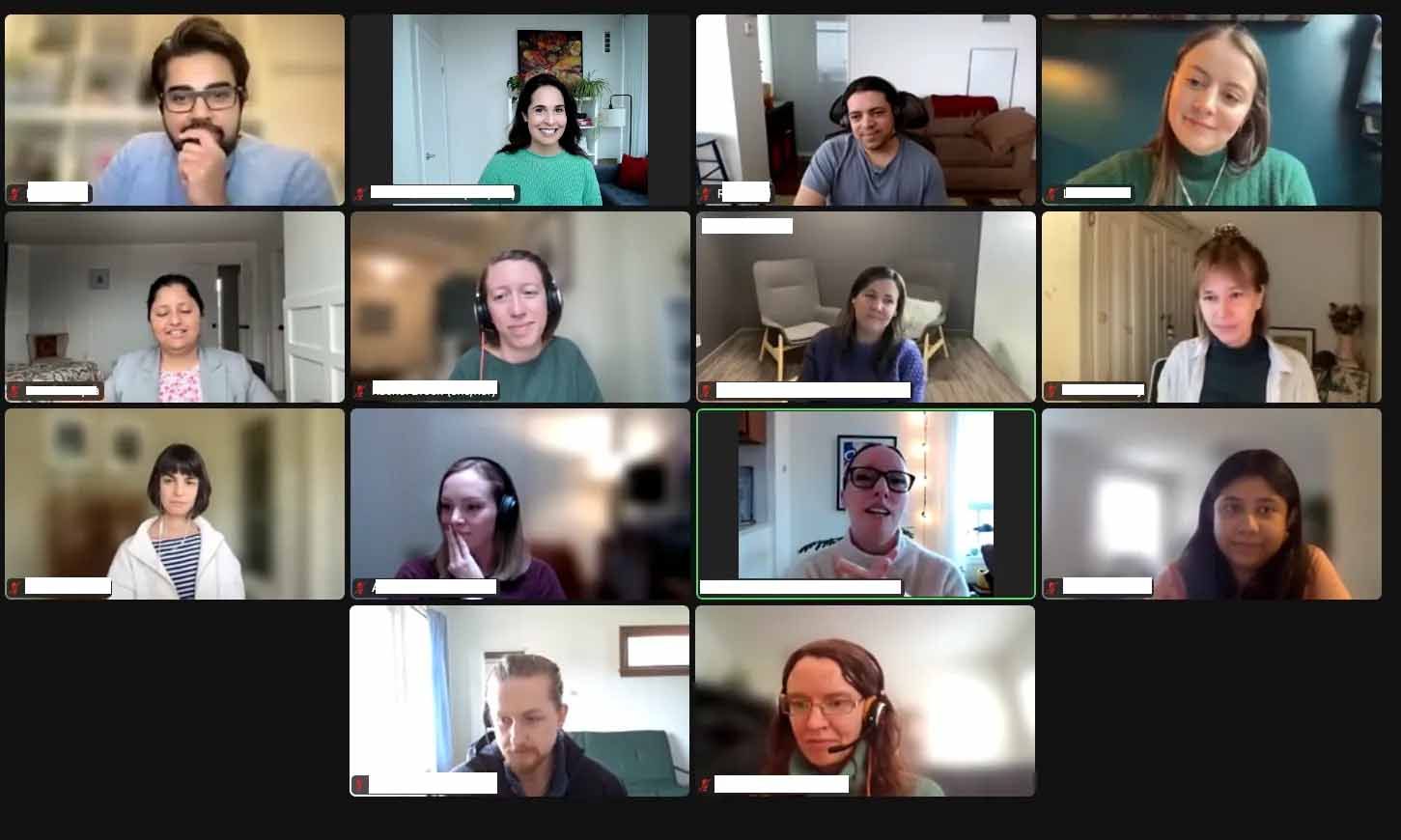 A virtual meeting with 16 people. Most are looking at the camera.
