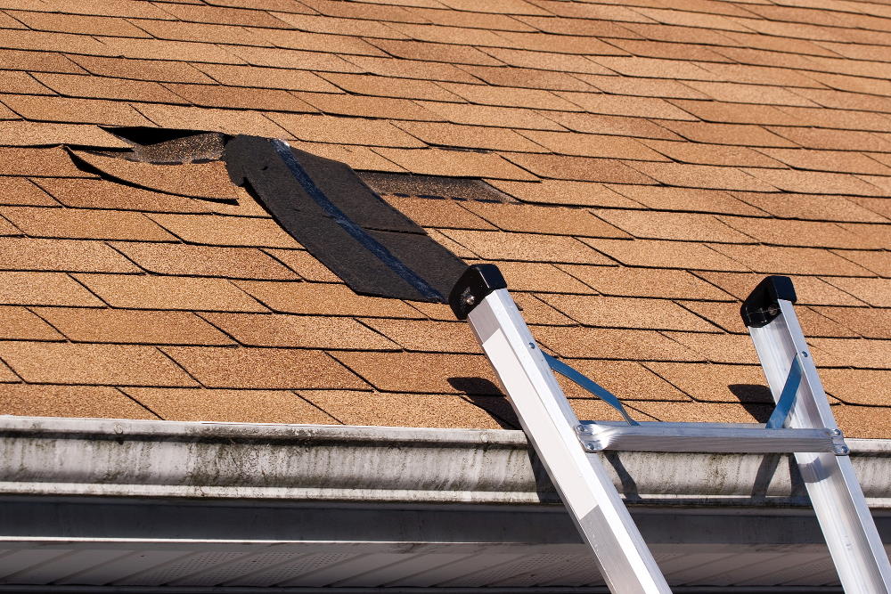 Shingle Roof repair Semmes