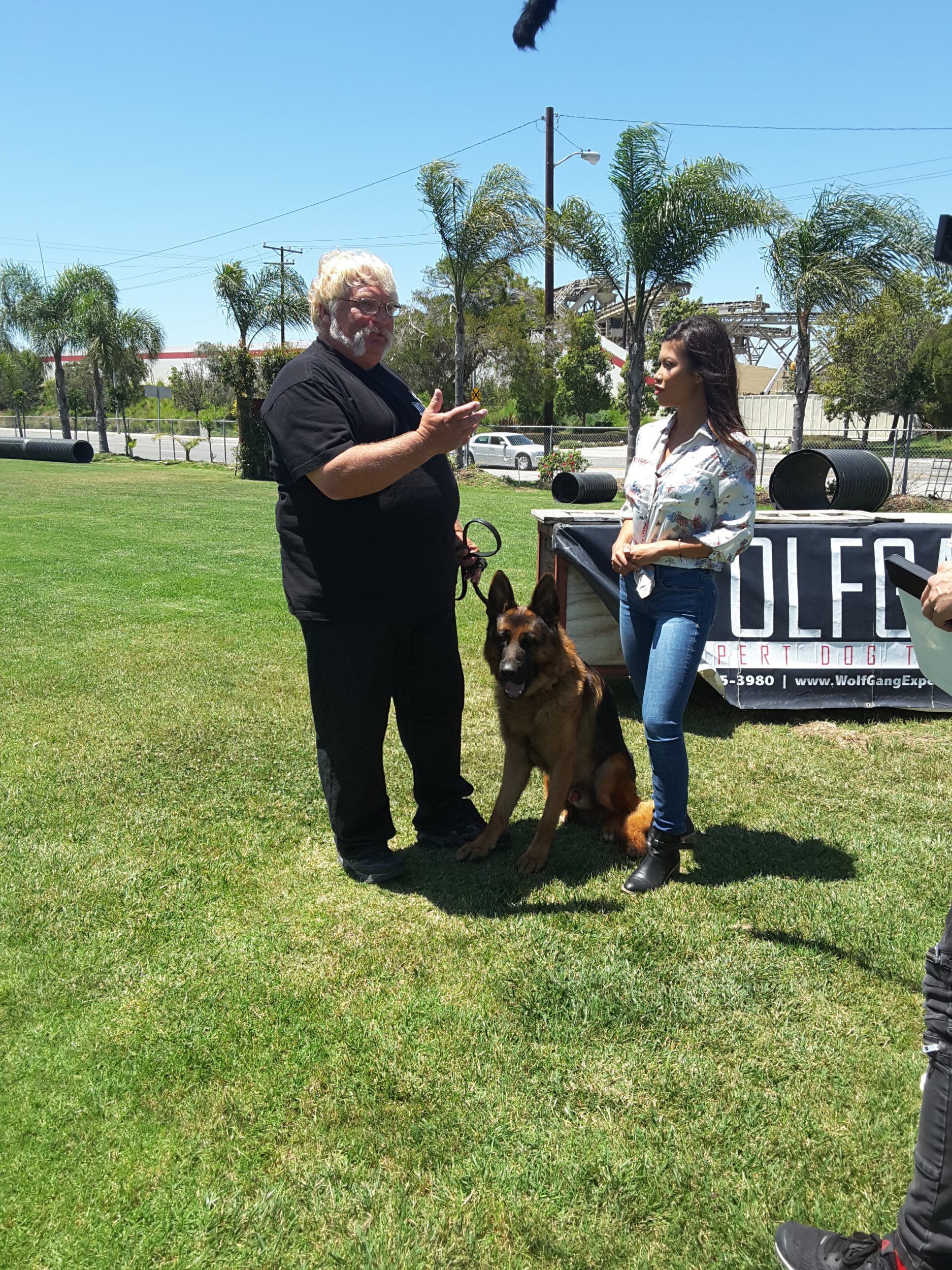 Two people standing on grass with a German shepherd at an outdoor event under a bright blue sky