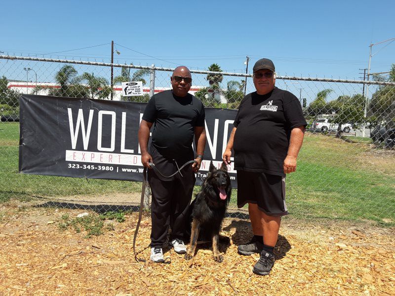 Two people stand with a black dog in front of a Wolfdog banner at an outdoor event.