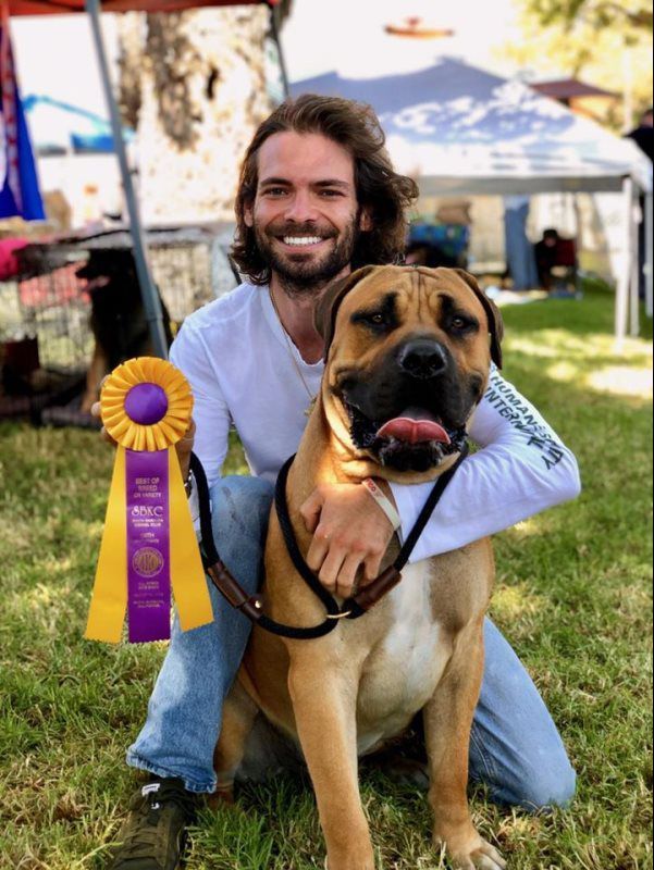 Man kneels beside a brown dog with a purple ribbon at an outdoor show, both facing the camera.