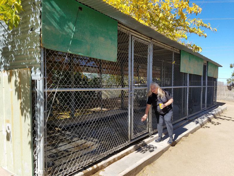 Person working beside a chain-link animal enclosure under green shade cloth outdoors
