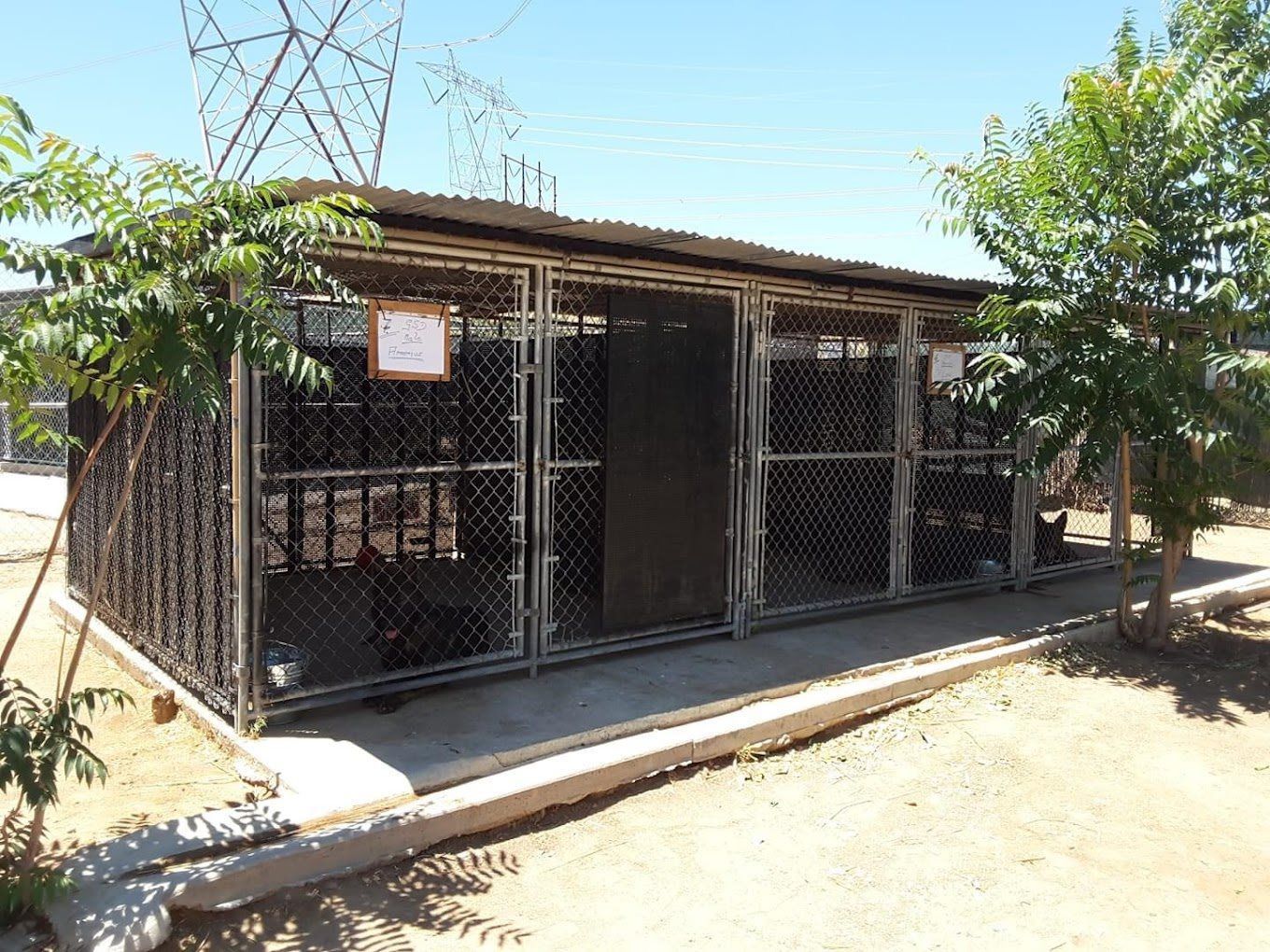 Small chain-link kennel or animal shelter building in a sunny dirt yard with trees nearby