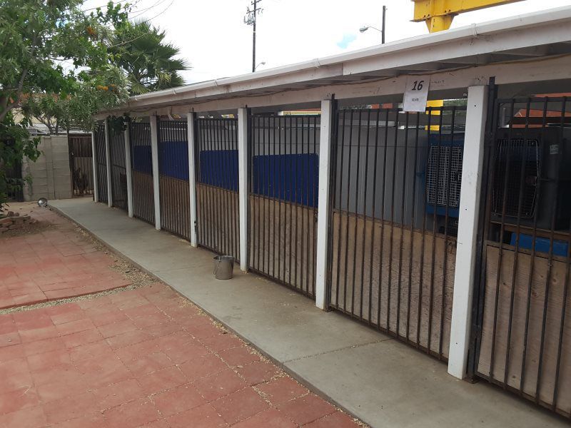 Closed metal gates along a building walkway with blue-and-white walls and a red paved path.