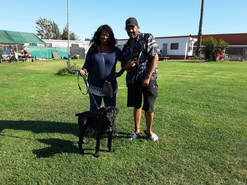 Two people stand on grass with a black dog on a leash, near buildings under a clear sky.