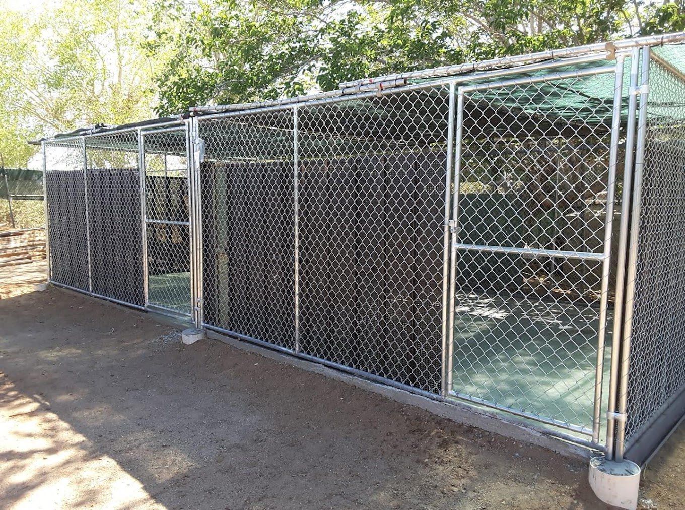 Chain-link kennel run with several fenced enclosures and a concrete floor outdoors.