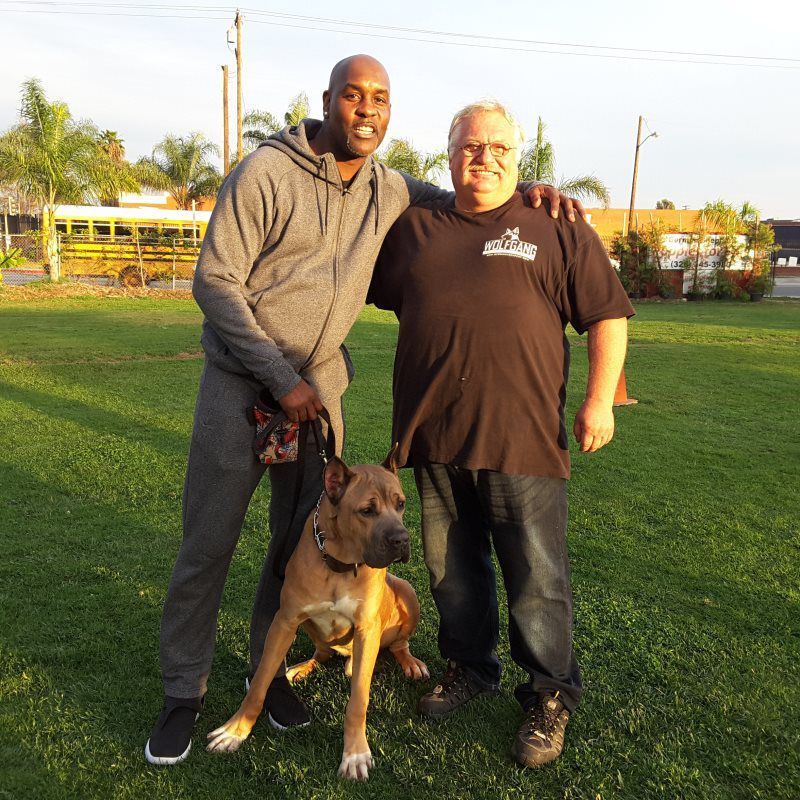 Two people with a brown-and-white dog on a grassy field at sunset