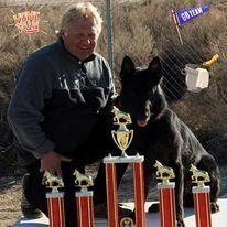 Woman kneeling with a black dog beside multiple trophies outdoors on a grassy field
