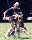 Person training a dog outdoors on a grassy field, holding the dog in motion.