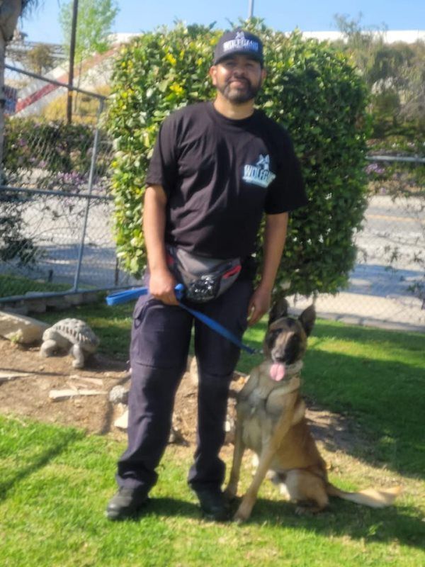 Man standing with a tan-and-black dog on a leash in a sunny yard with trees and a fence