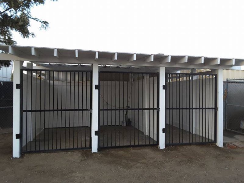Three empty metal-bar animal kennels with white roof and concrete floor outdoors