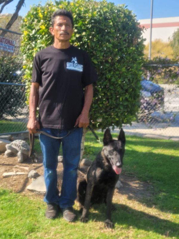 Man standing beside a black dog on a leash in a sunny outdoor yard.