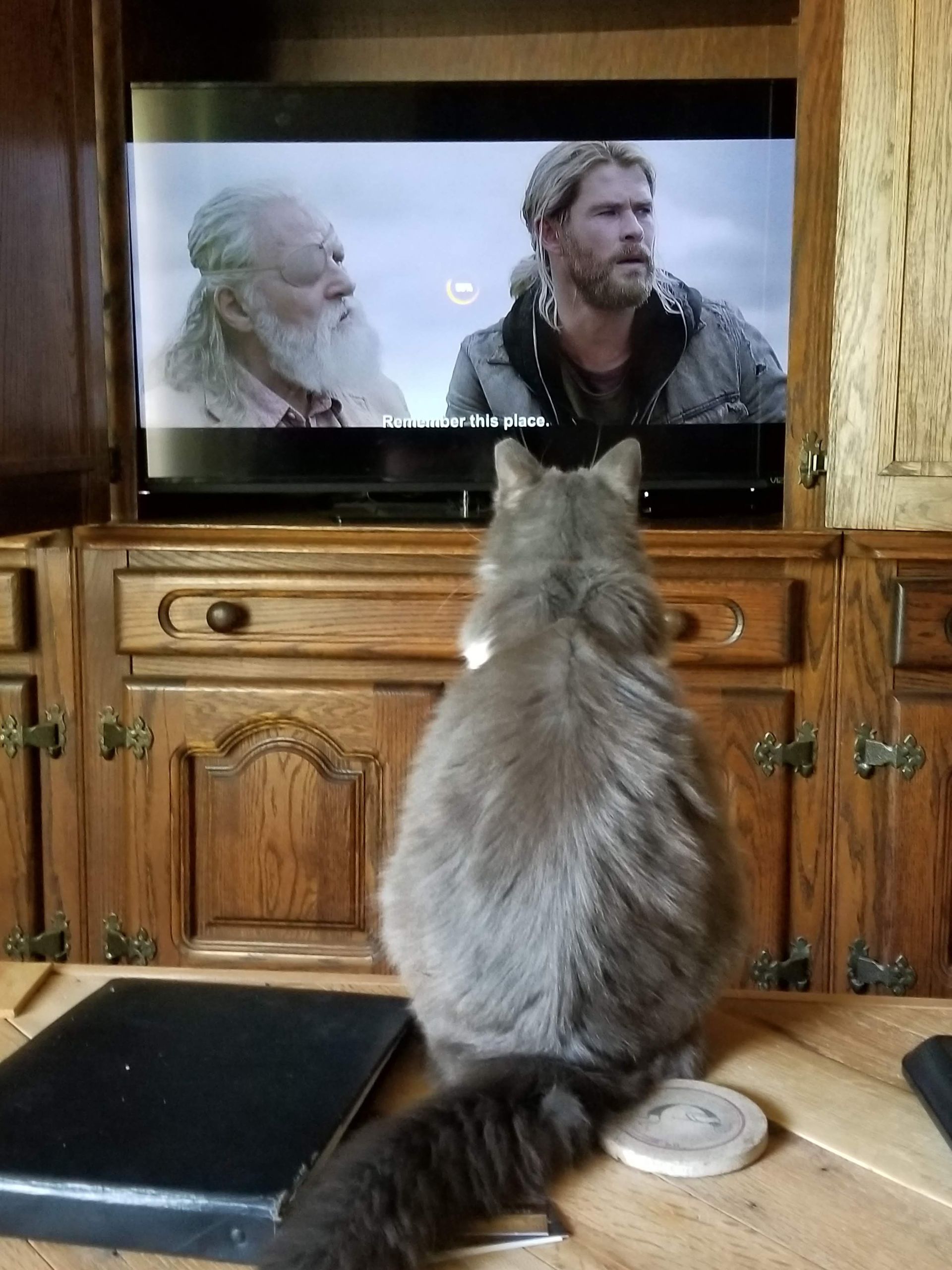 Ridges & Paw providing pet boarding services in San Antonio, TX