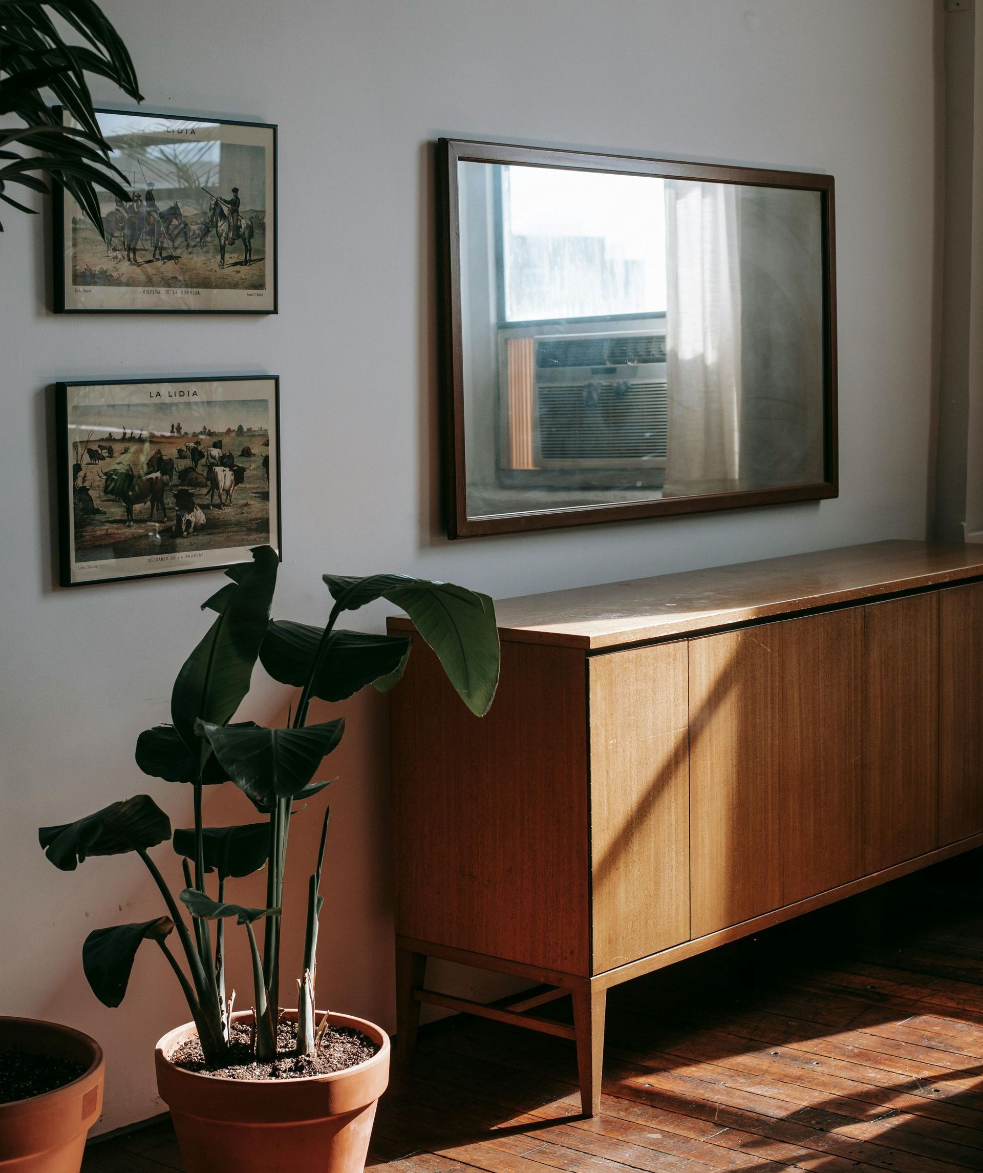 A living room with a plant and a mirror on the wall