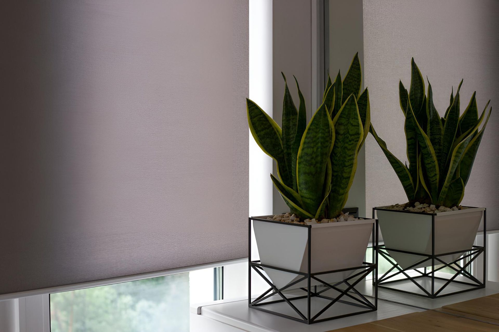 Two Potted Plants Are Sitting on a Window Sill Next to a Window — Lismore Curtains & Blinds In Byron Bay, NSW