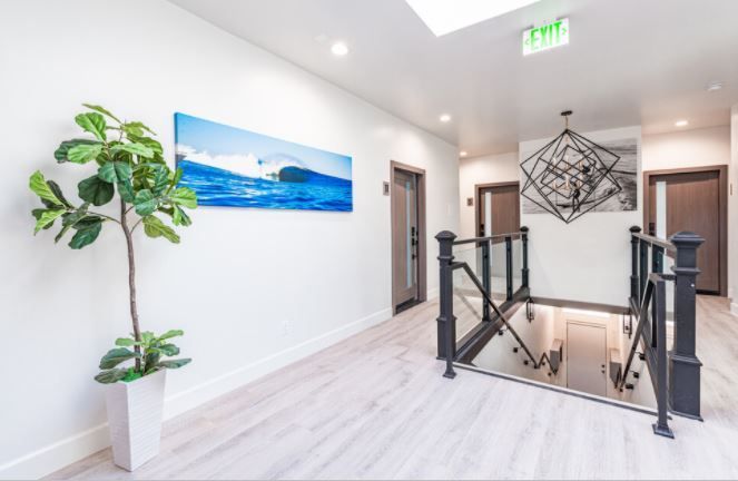 Bright hallway with a stairwell, potted plant, wall art, and white walls in a modern interior