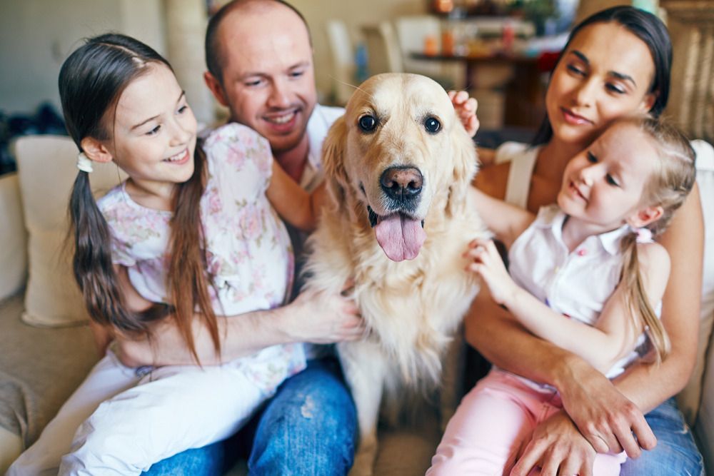 Happy Family With Their Dog — Holistic Therapist in Cairns QLD