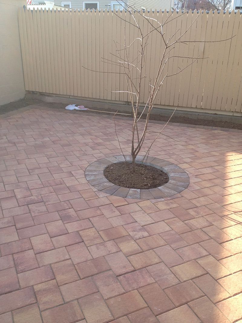 Brick patio with a young tree in a circle of mulch, surrounded by a wooden fence.