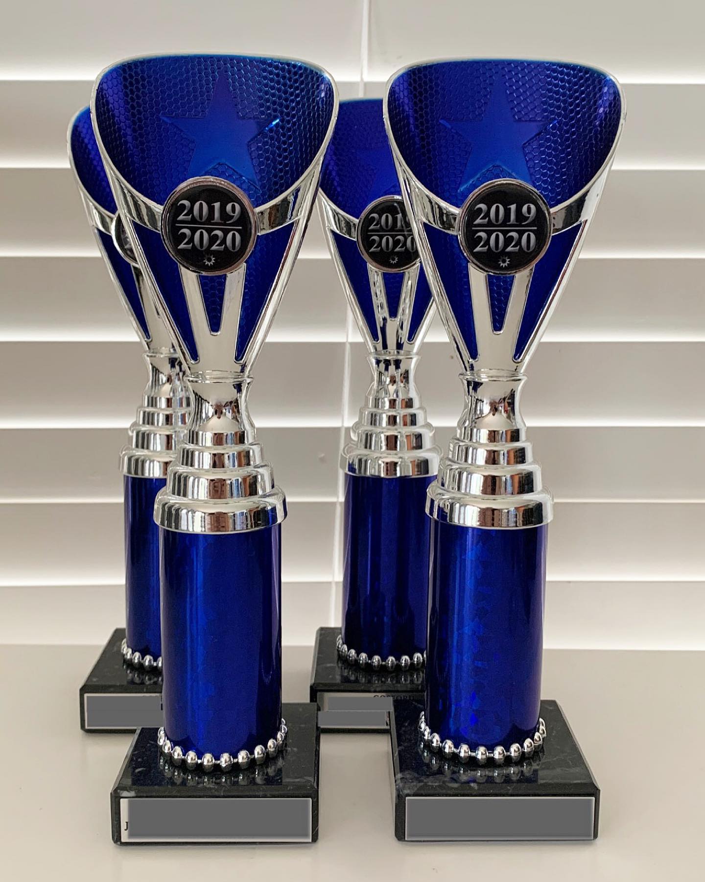 Blue Trophies — Framing Experts In Central Coast, NSW