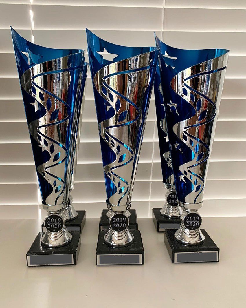 Blue Trophy — Framing Experts In Central Coast, NSW