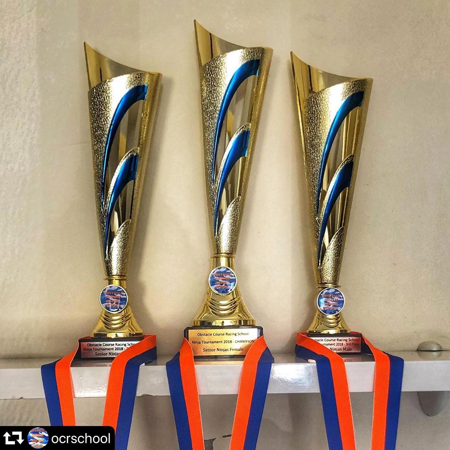 Trophy Cups — Framing Experts In Central Coast, NSW