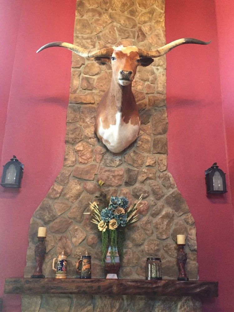 A cow head with long horns is hanging on a stone wall above a fireplace.