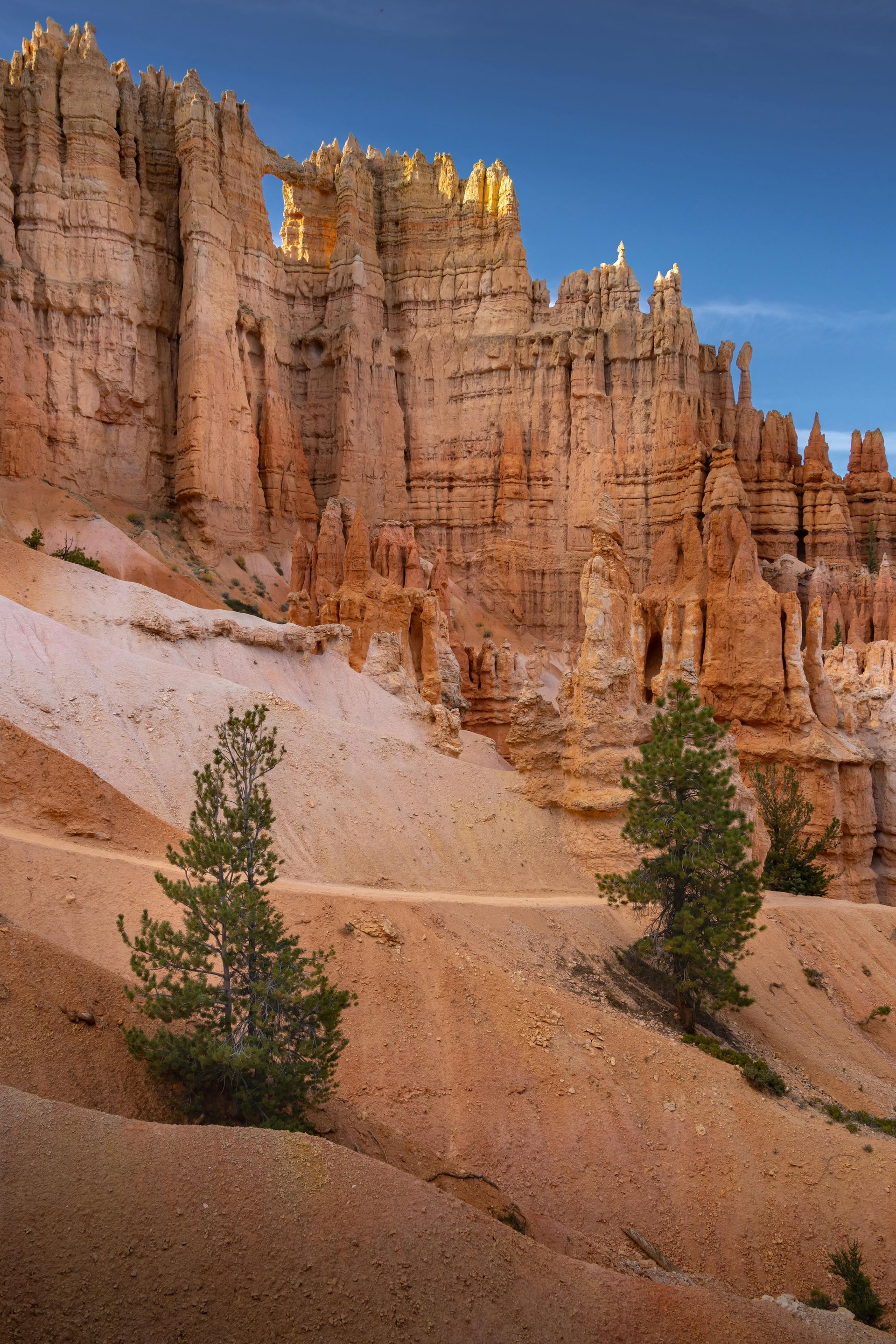 A road going through a canyon with trees on the side