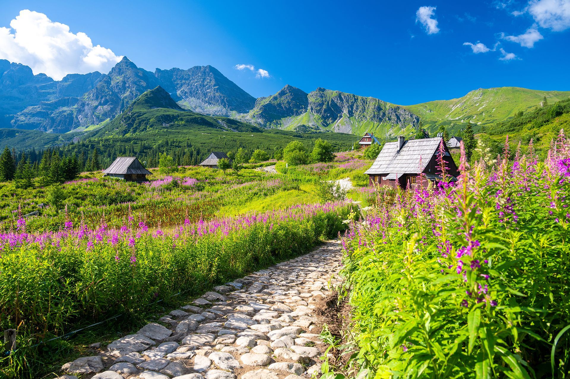 Stone path winds through a meadow with wildflowers, cabins, and mountains under a blue sky.