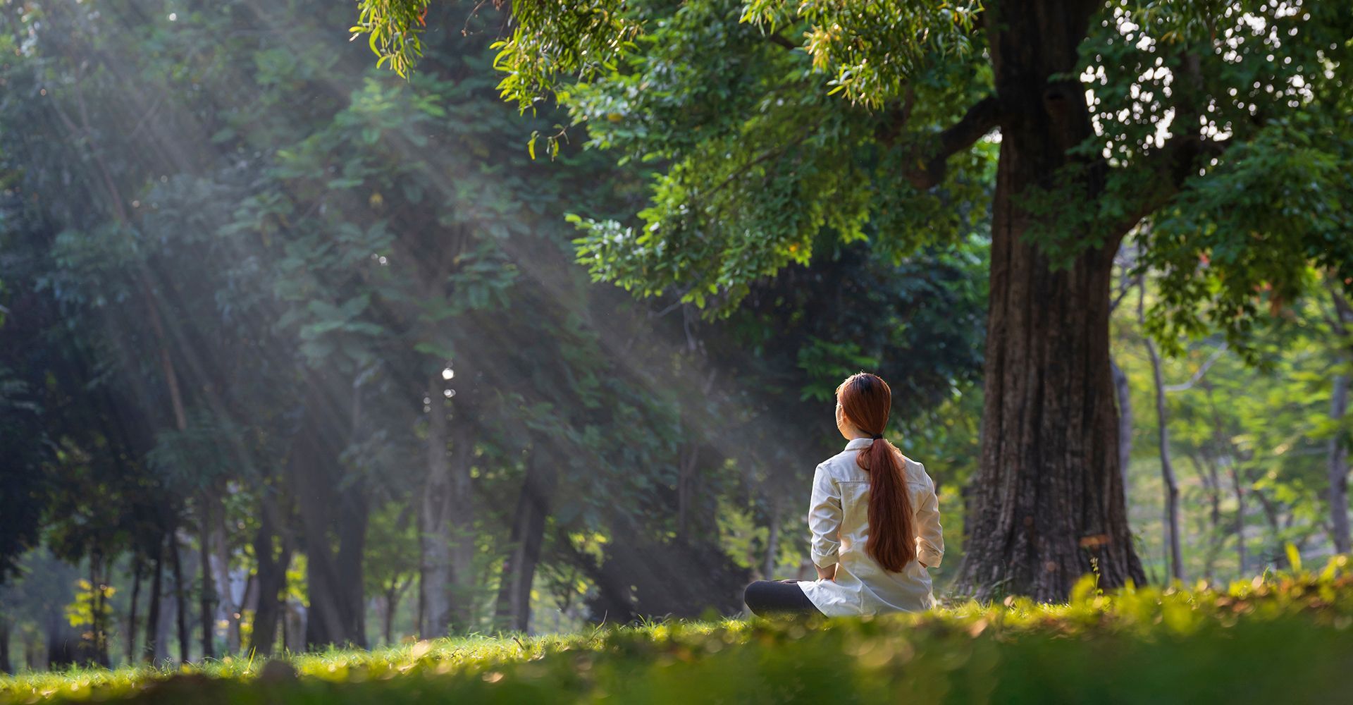 Woman meditating under a tree in a sunny park; sunlight beams through leaves.