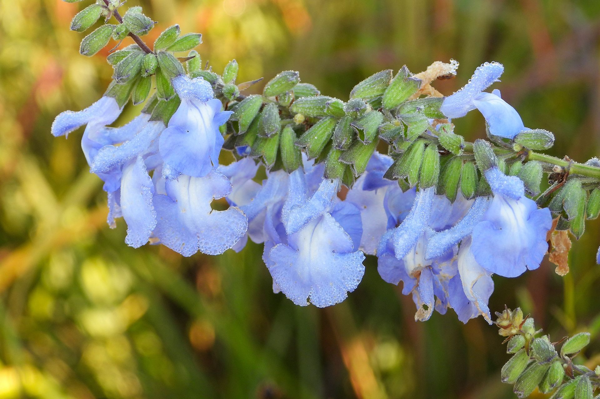 Pray, Meditate, or Sit in Stillness