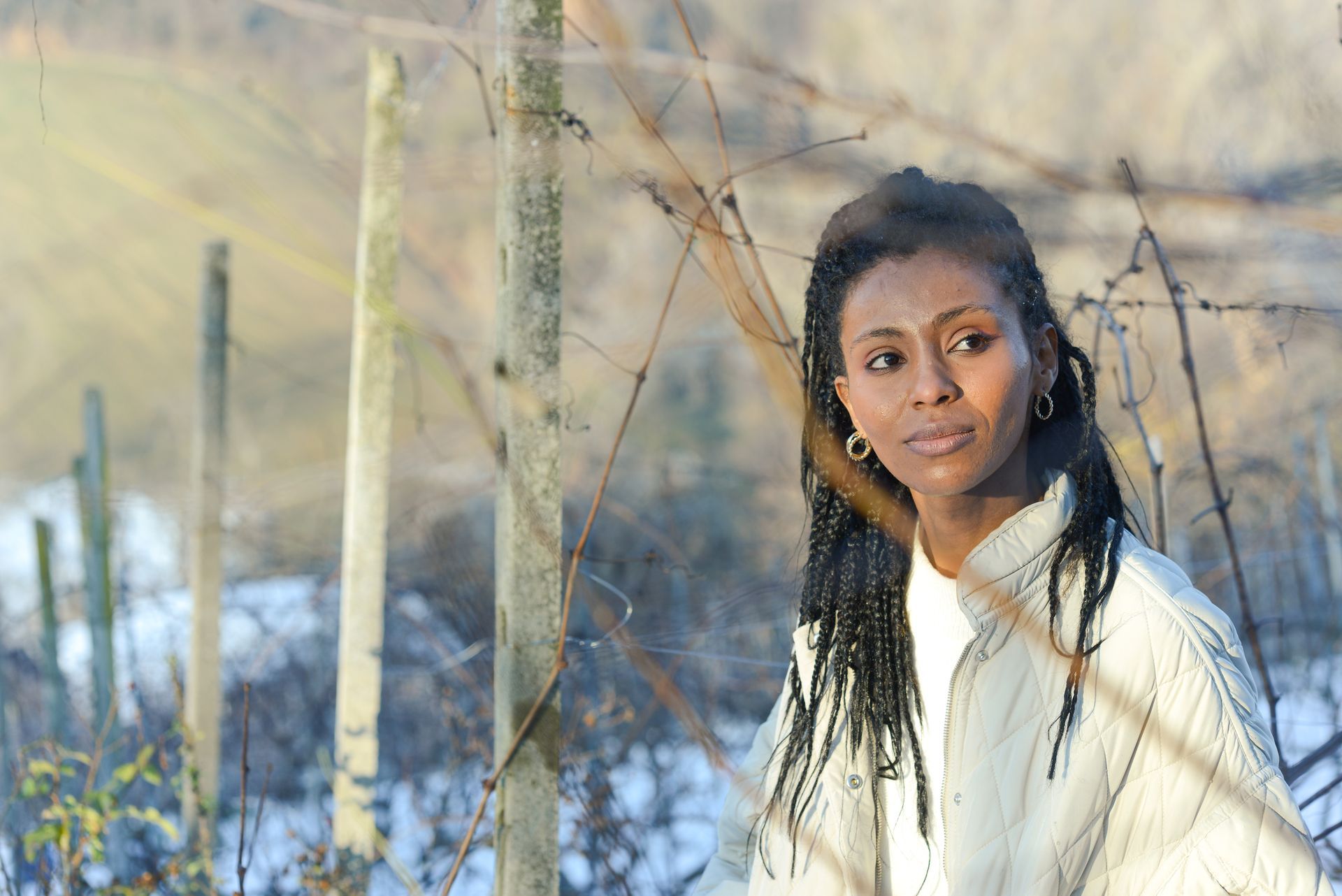 Heart-shaped frame of twinkling lights against a dusky sky.