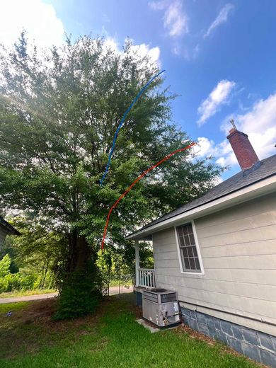 A house with a large tree in front of it.