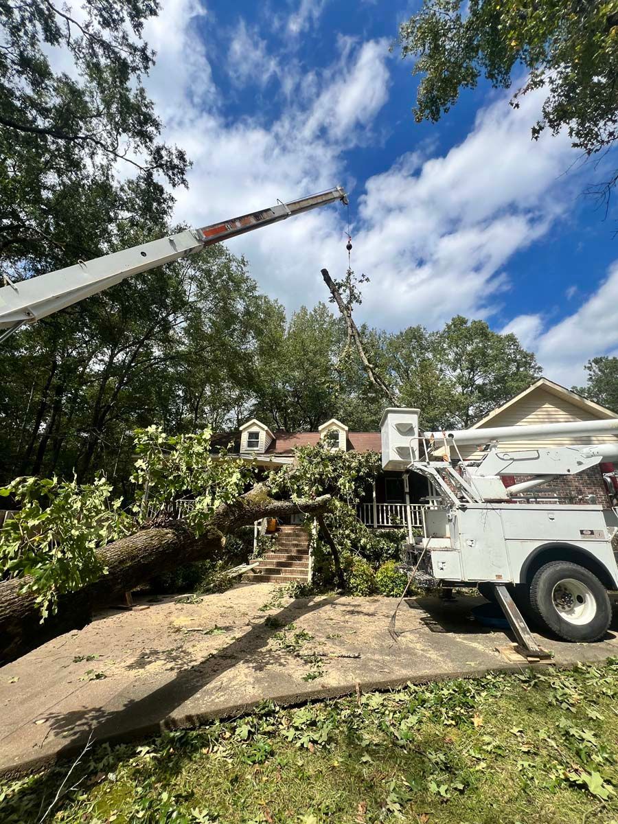 A crane is cutting a tree in front of a house.