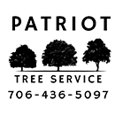 The logo for patriot tree service shows three trees in a row.