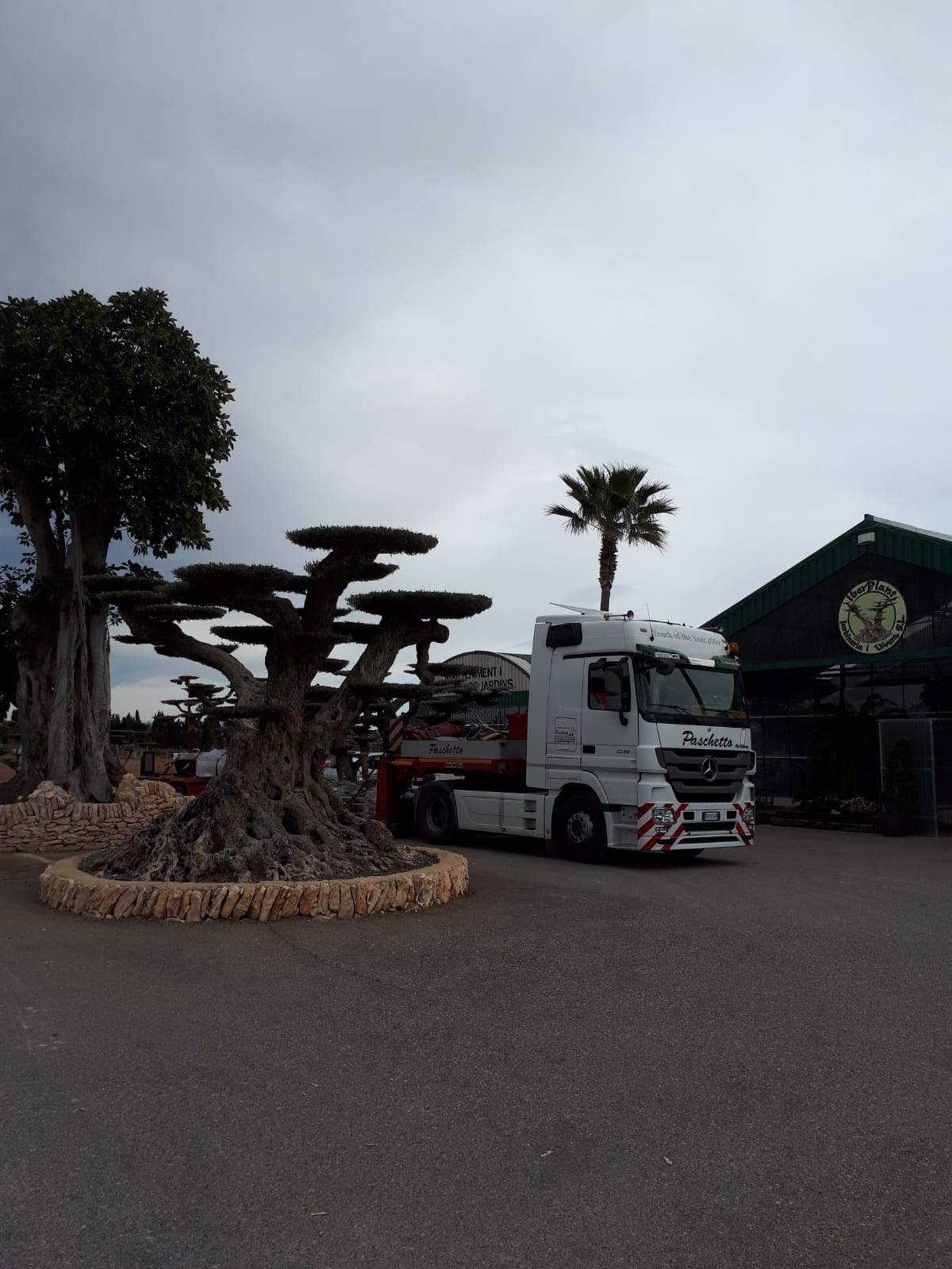 Trasporto con camion