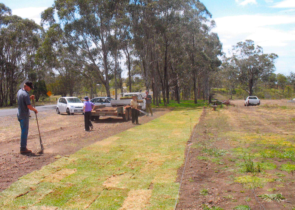 People laying turf next to a road, with cars parked nearby.