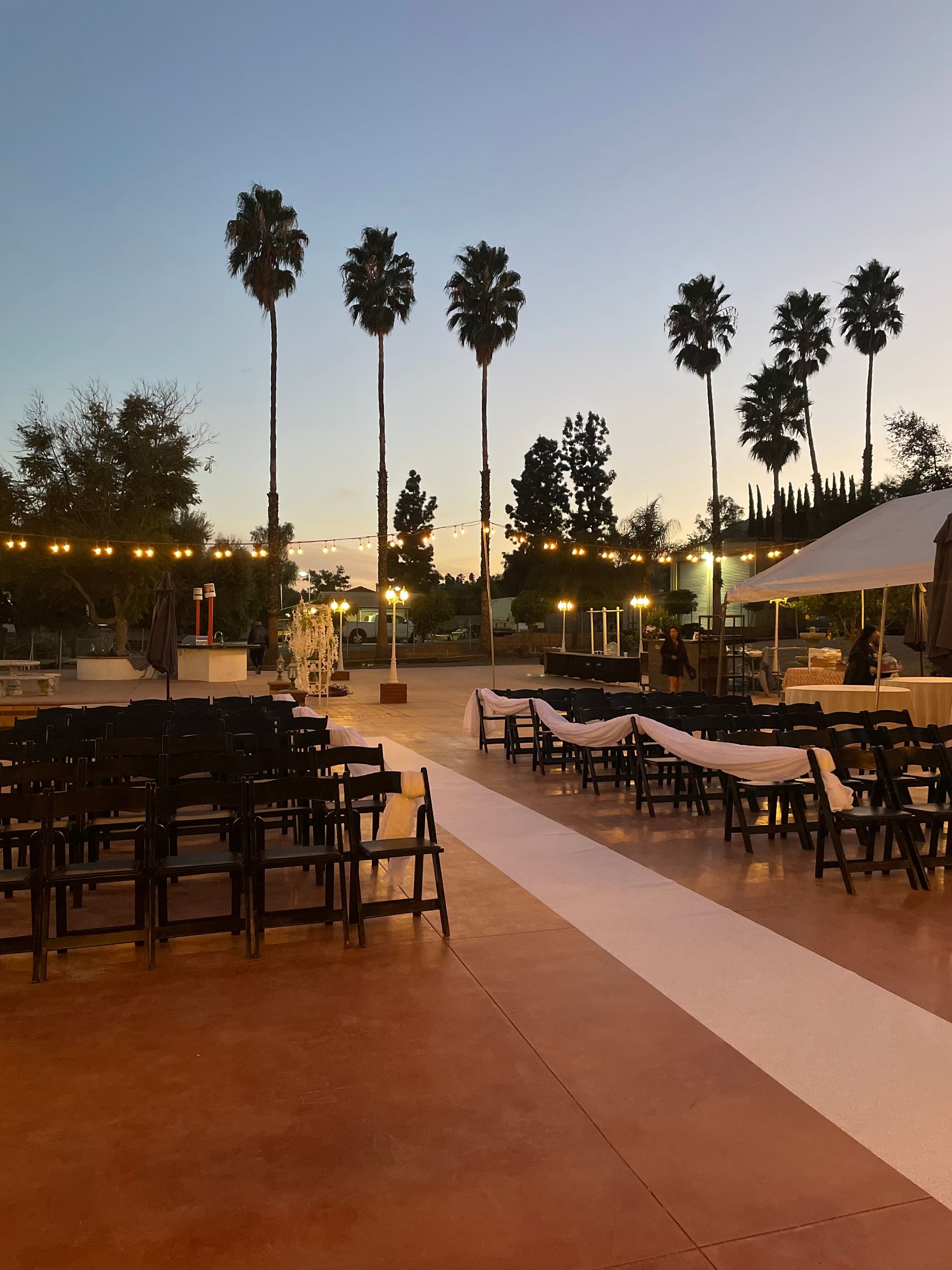 Rows of chairs are set up for a wedding ceremony with palm trees in the background