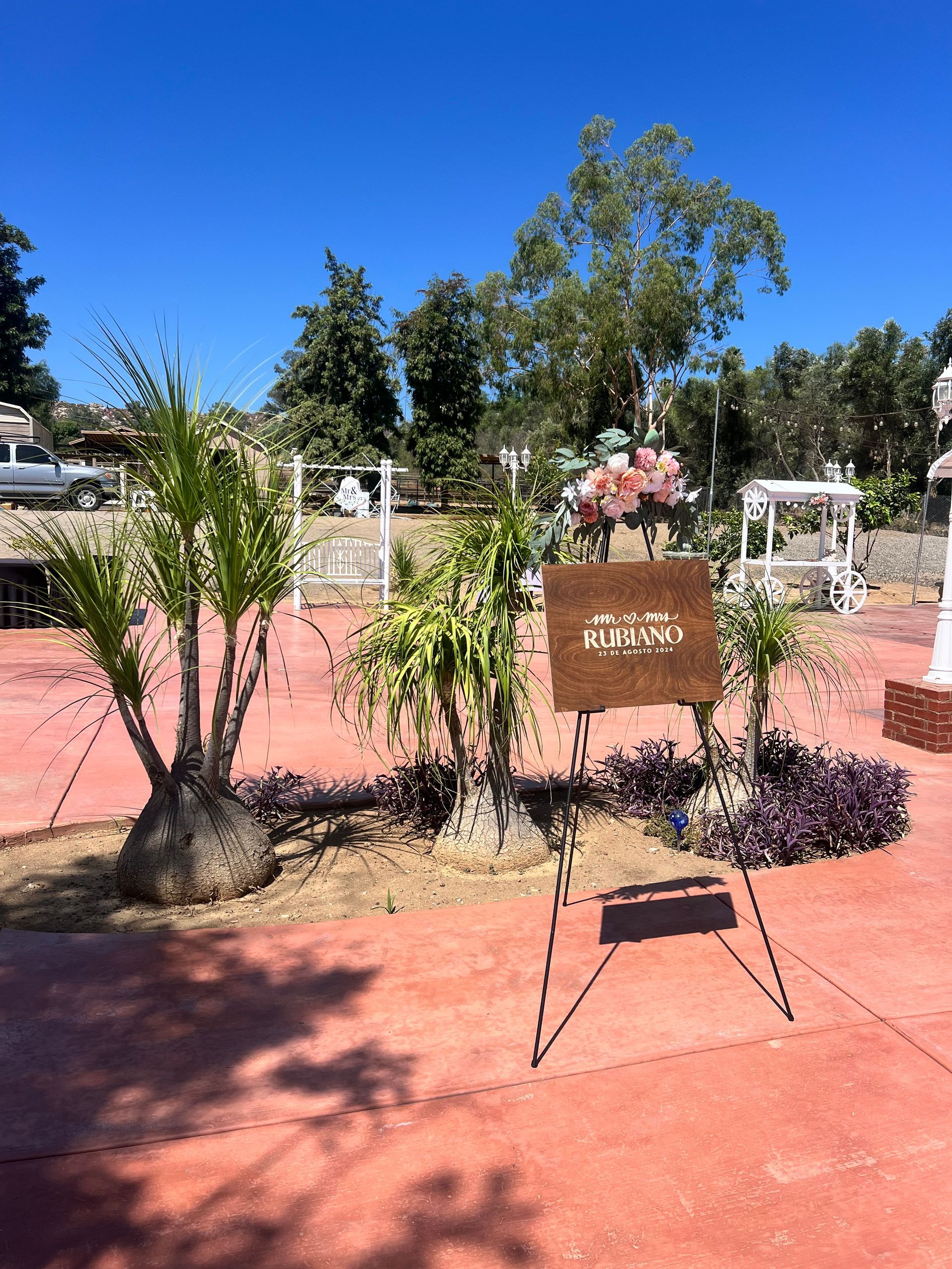 A wooden sign is sitting in the middle of a garden surrounded by trees.