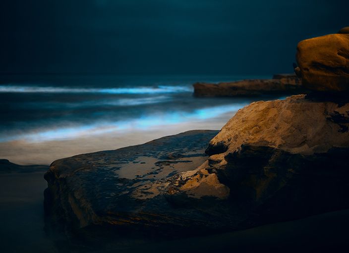 Rocky shoreline at night with glowing blue waves crashing against the rocks.