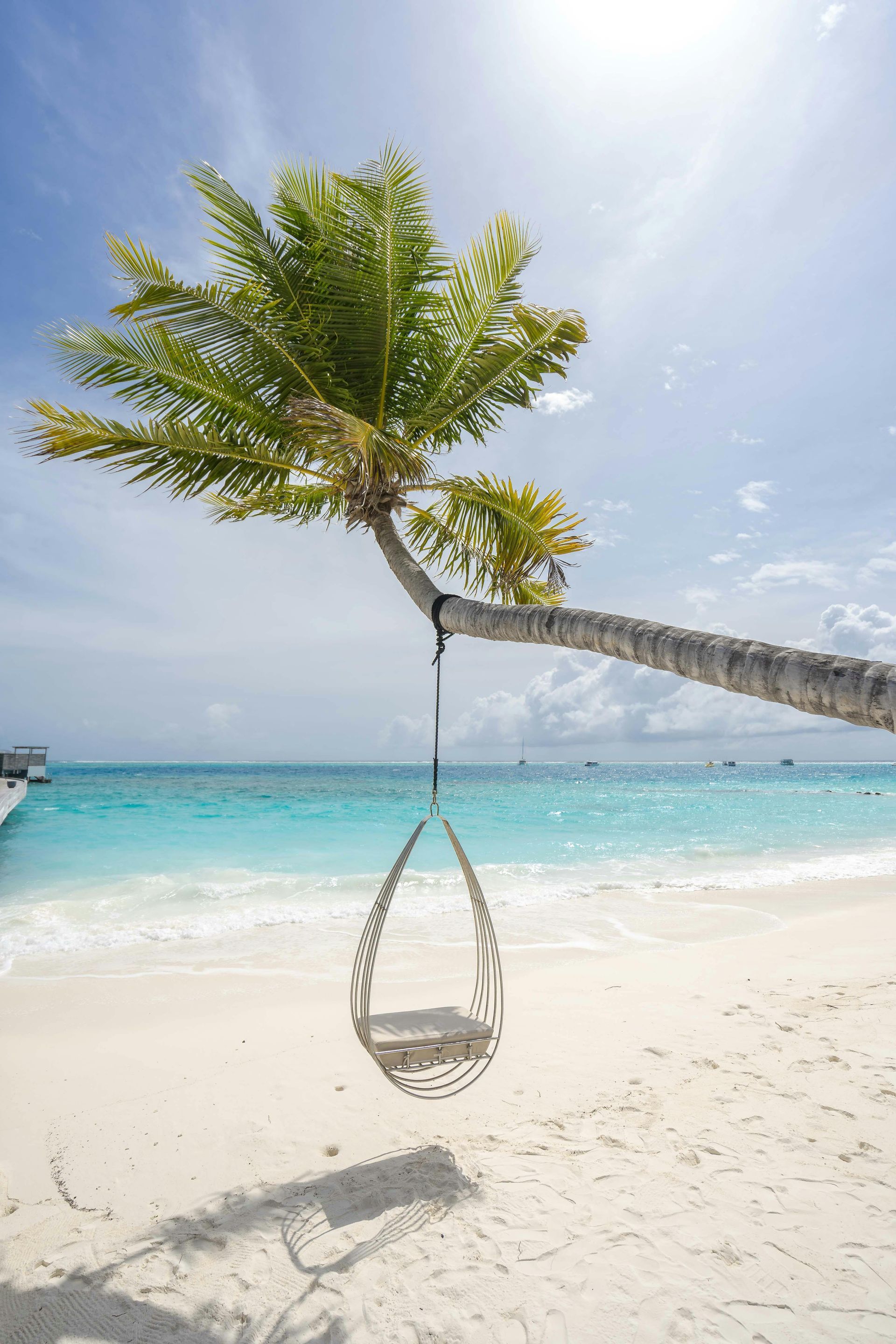 Palm tree with a swing overlooking a turquoise ocean and white sand beach under a bright blue sky.