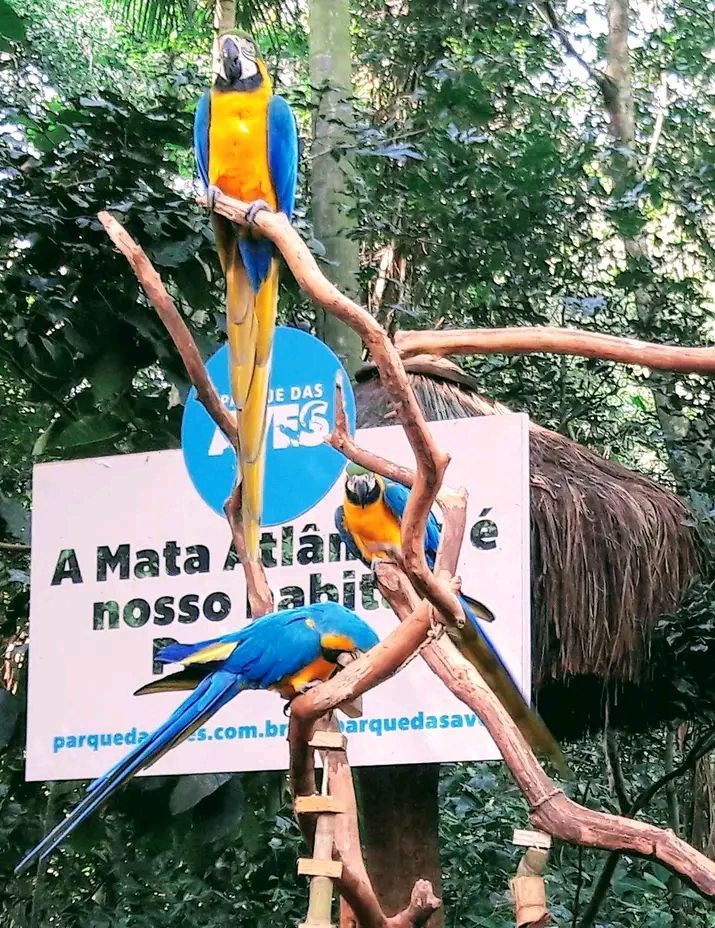 Parque de Aves