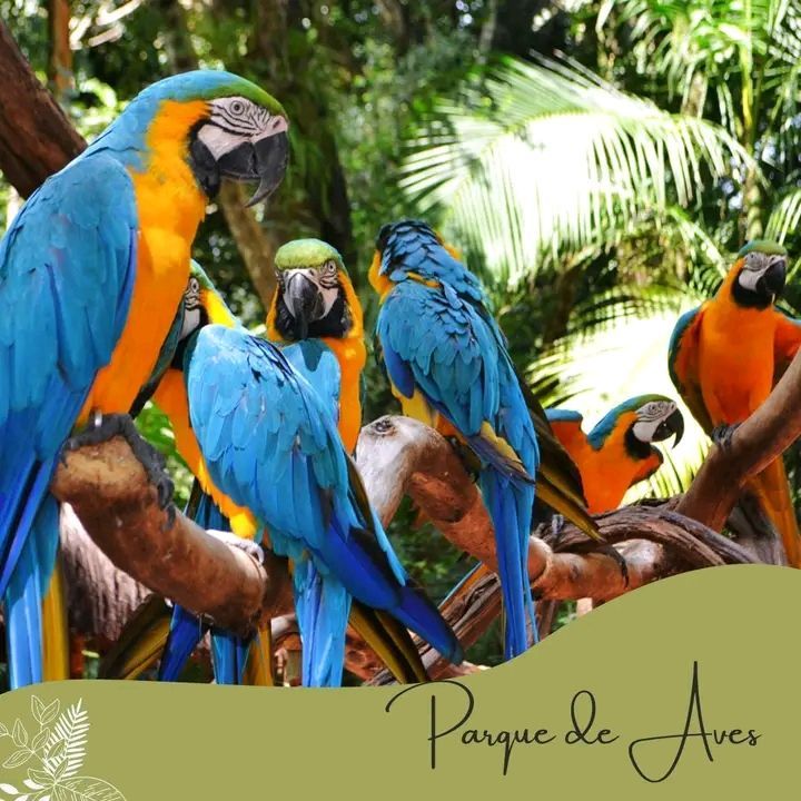 Parque de Aves