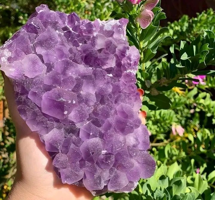 Minas de Wanda y San Ignacio