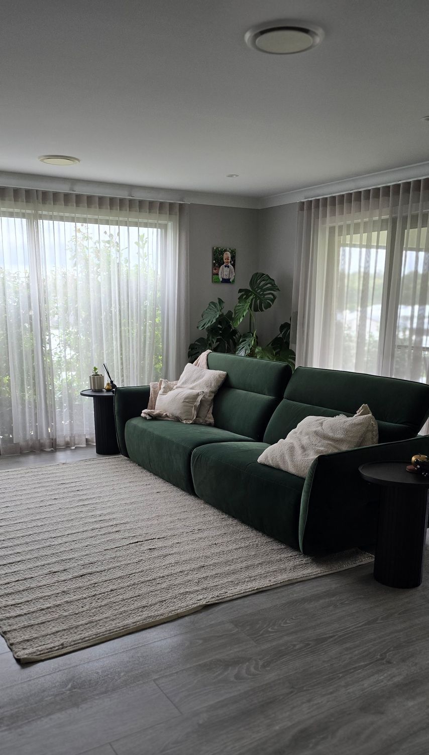 A Lounge space with green sofa and large plant in corner of room — A Place 2 Shine In Chisholm, NSW