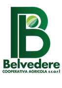 logo cooperativa agricola belvedere