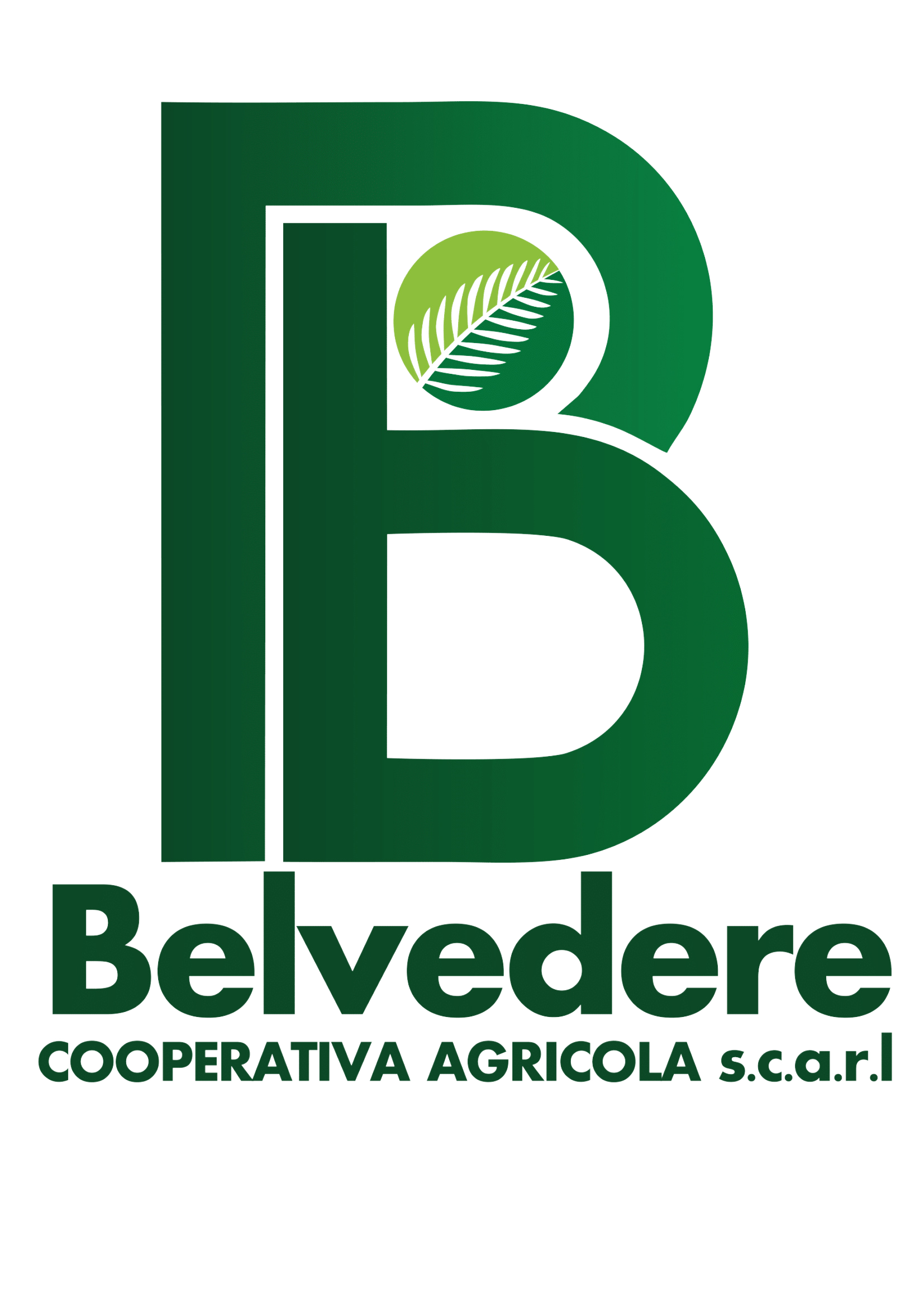 logo cooperativa agricola belvedere