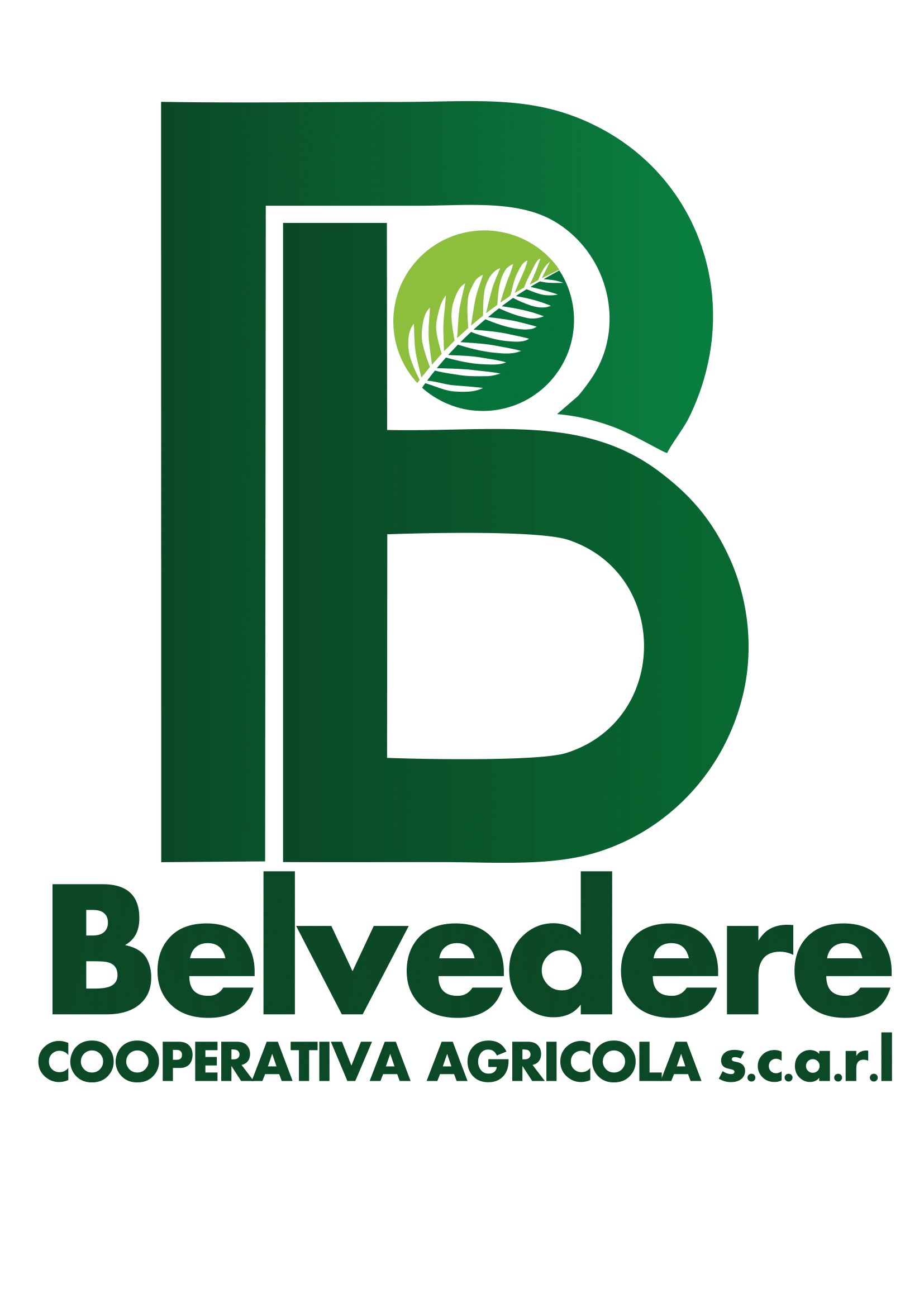 logo cooperativa agricola belvedere
