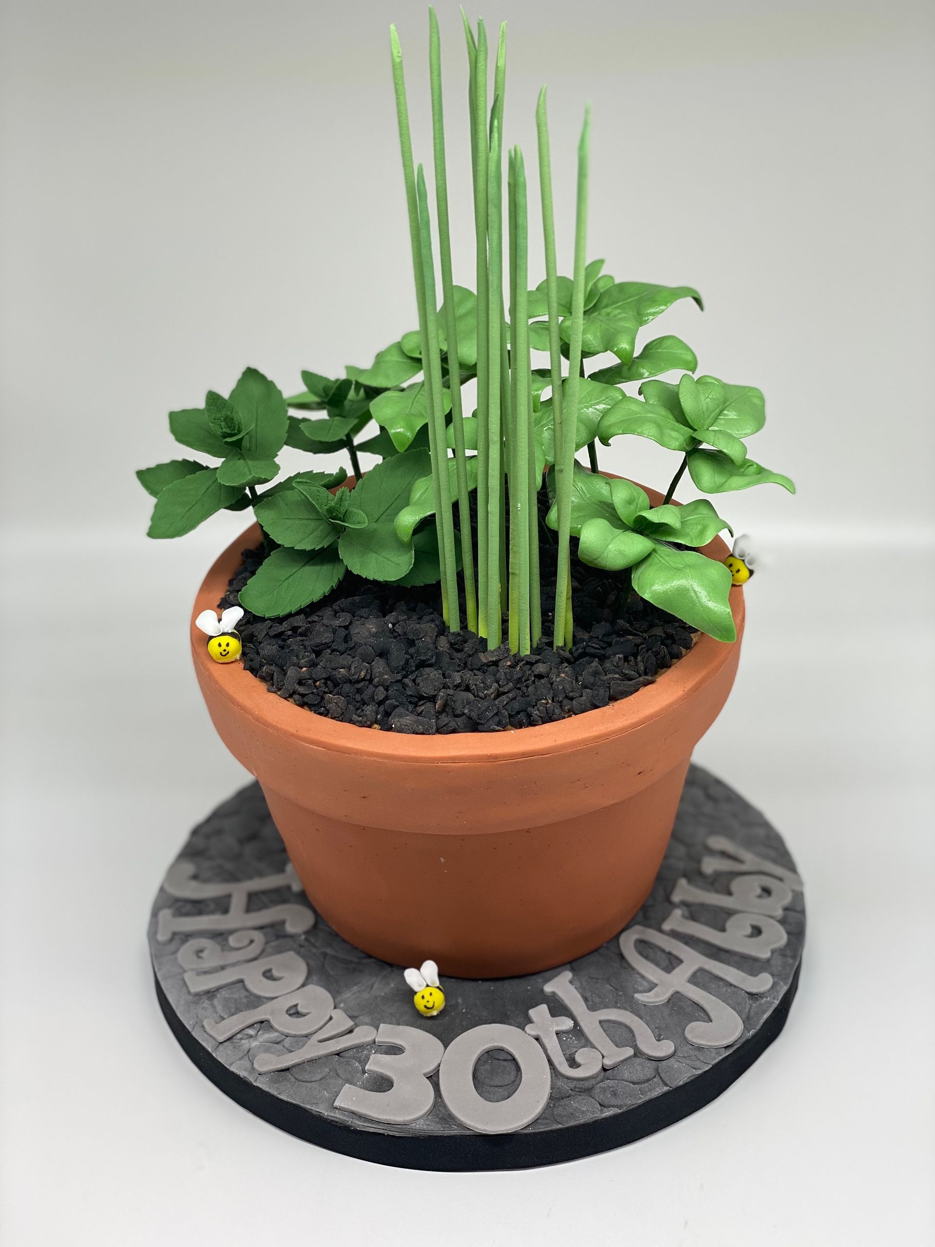 A cake with a potted plant on top of it that says happy 30th birthday