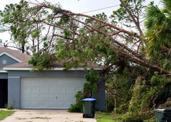 A tree has fallen on the side of a house.