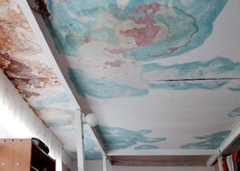 The ceiling of a room with mold on it.